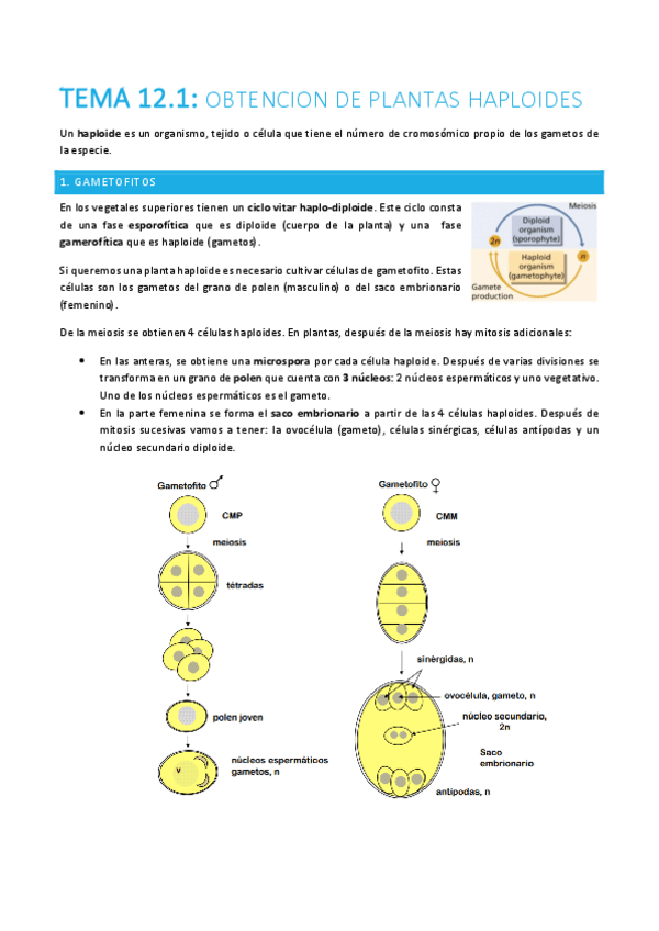Miniatura del documento TEMA-12.1-plantas.pdf