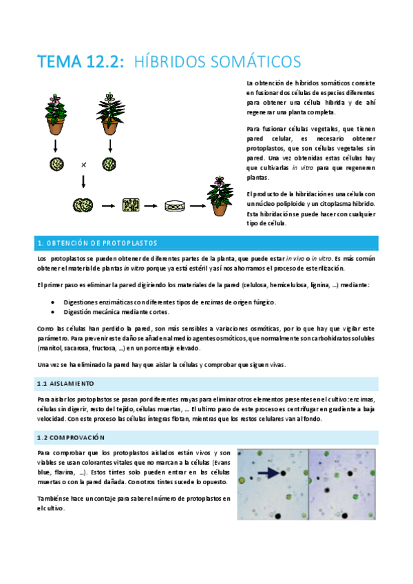 Miniatura del documento TEMA-12.2-plantas.pdf