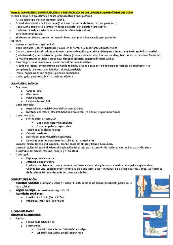 Miniatura del documento hombro-feclal.pdf