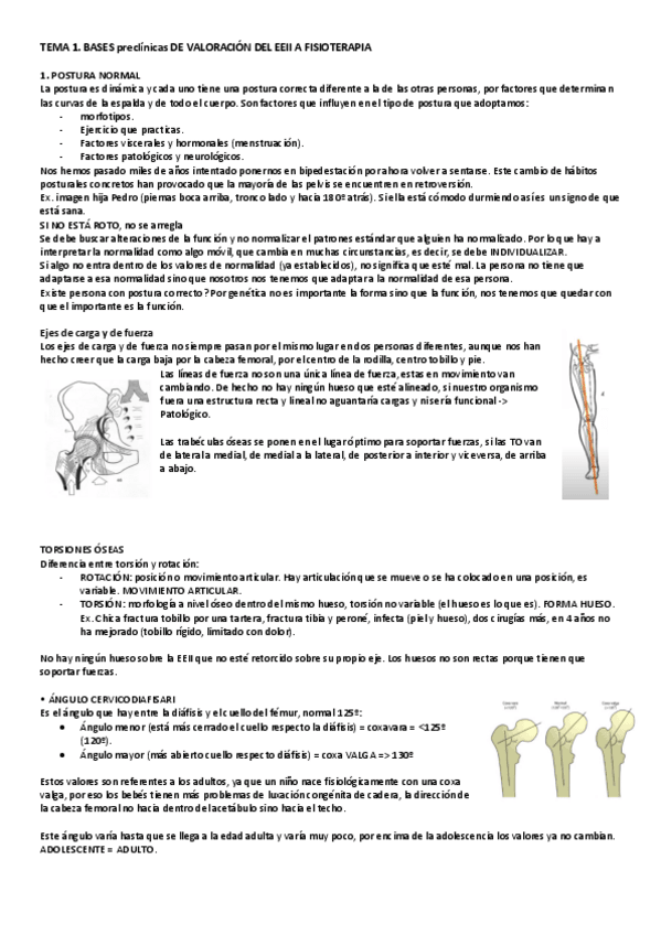 Miniatura del documento VEFAL-EEII-SR.-RUBIO-gjcs.pdf