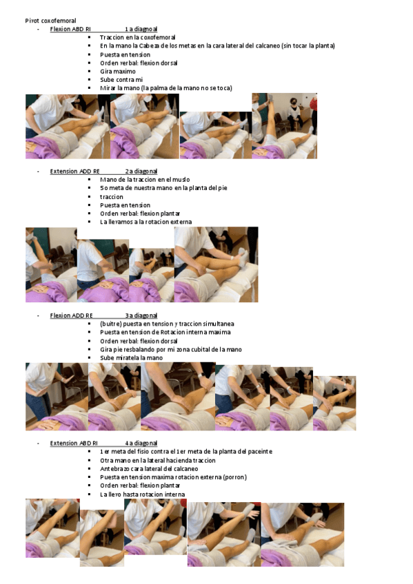 Miniatura del documento DIAGONALES-coxofemoral-gjcs.pdf