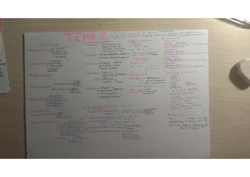 Miniatura del documento Disacaridos-y-polisacaridos.pdf