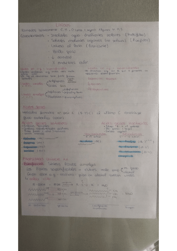 Miniatura del documento lipidos...-todo-lo-que-tienes-que-saber.pdf