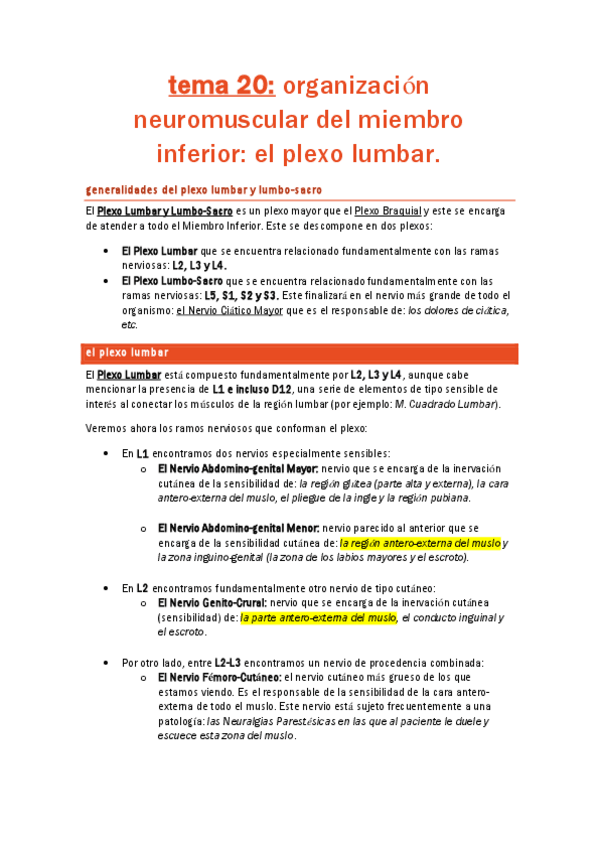 Miniatura del documento TEMA 20. SISTEMAS NEUROMUSCULARES DEL PLEXO LUMBAR..pdf
