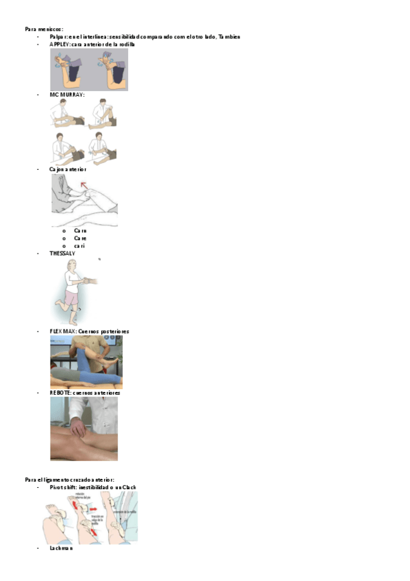Miniatura del documento practica-feclal-begona-ei-gjcs.pdf