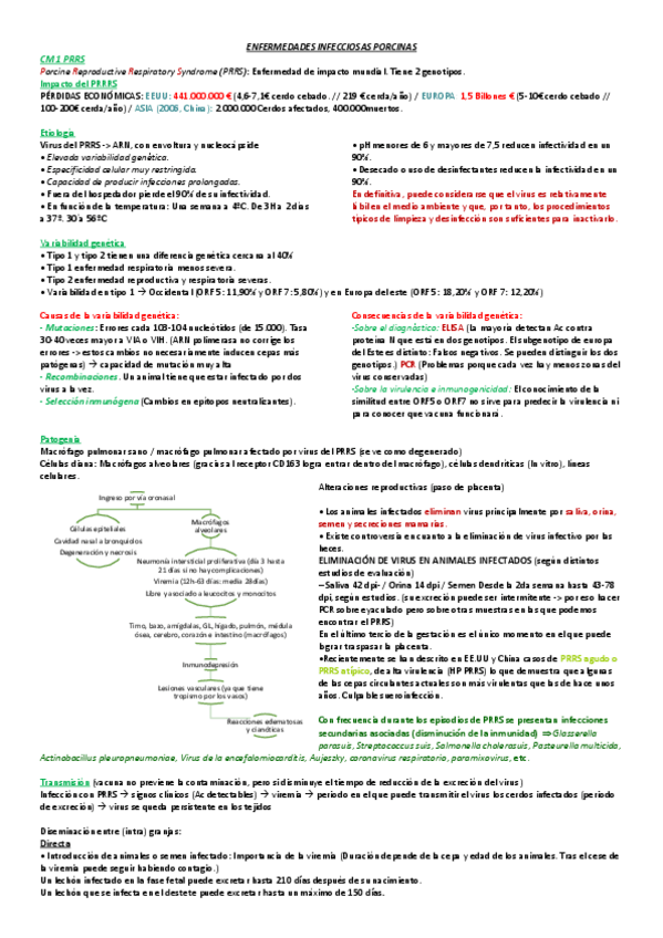 Miniatura del documento Enfermedades-infecciosas-porcinas.pdf