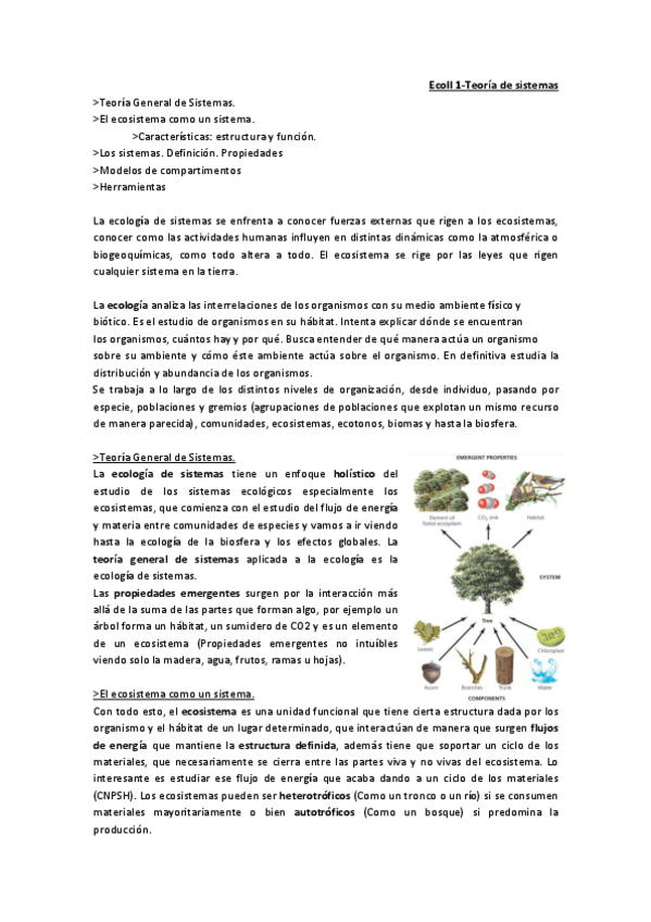 Miniatura del documento EcoII 1.pdf
