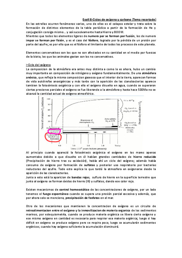 Miniatura del documento EcoII 8-Ciclo del oxígeno y carbono.pdf