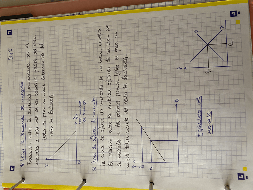 Miniatura del documento IMG5914.jpeg