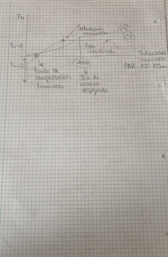 Miniatura del documento IMG5932.jpeg