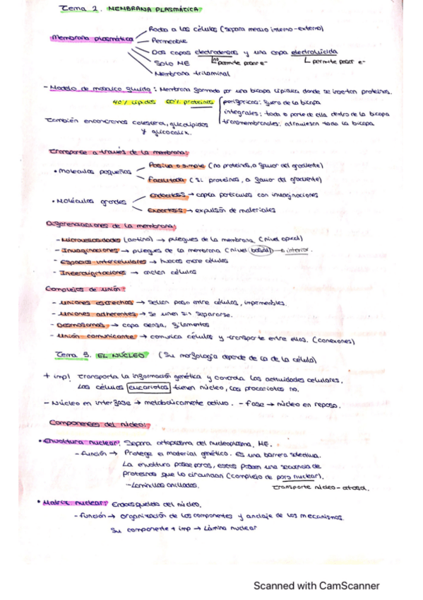 Miniatura del documento Resumen-Biologia-Tema-2-24.pdf