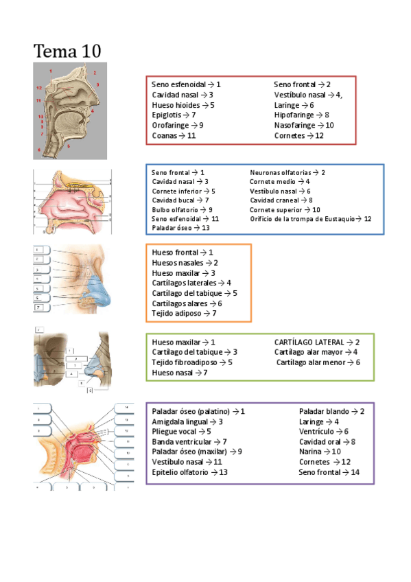 Miniatura del documento Imagenes-3r-parcial.pdf