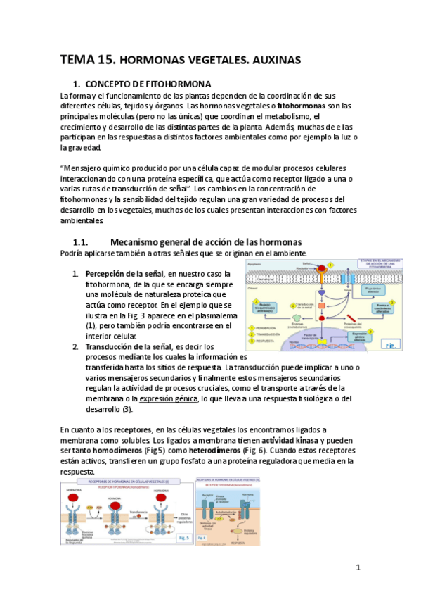 Miniatura del documento TEMA-15-FV.pdf