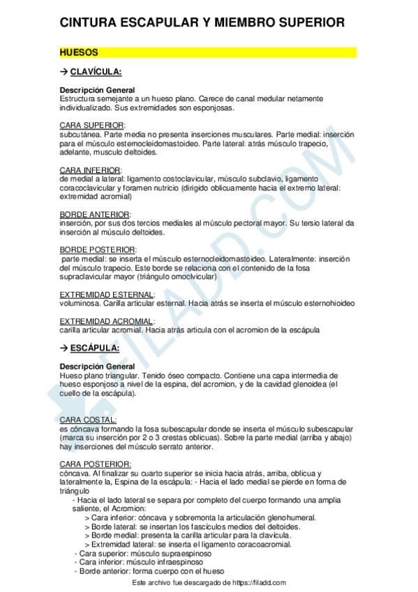 Miniatura del documento Cintura-escapular-y-Miembro-superior.pdf