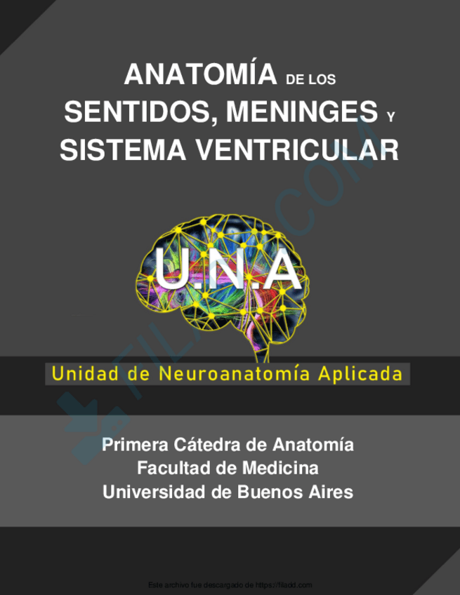 Miniatura del documento CIRCUITO-SENTIDOS-MENINGES-Y-SISTEMA-VENTRICULAR.pdf
