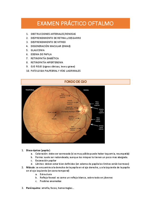 Miniatura del documento EXAMEN-PRACTICO-OFTALMO.pdf
