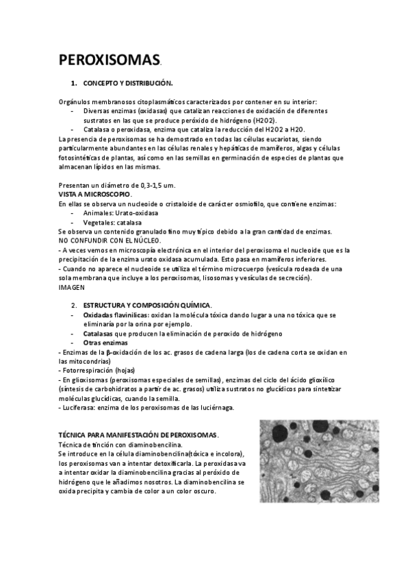 Miniatura del documento Peroxisomas.pdf