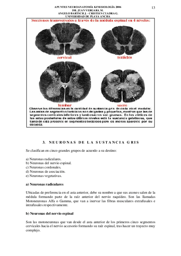 Miniatura del documento Apuntes-neuro-8.pdf