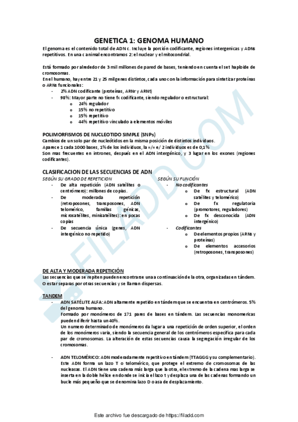 Miniatura del documento GENETICA-1.pdf