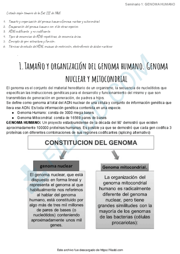 Miniatura del documento SEMENARIOS-GENETICA.pdf