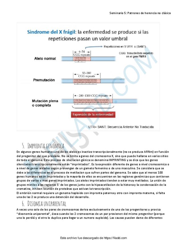 Miniatura del documento ilovepdfmerged-3.pdf
