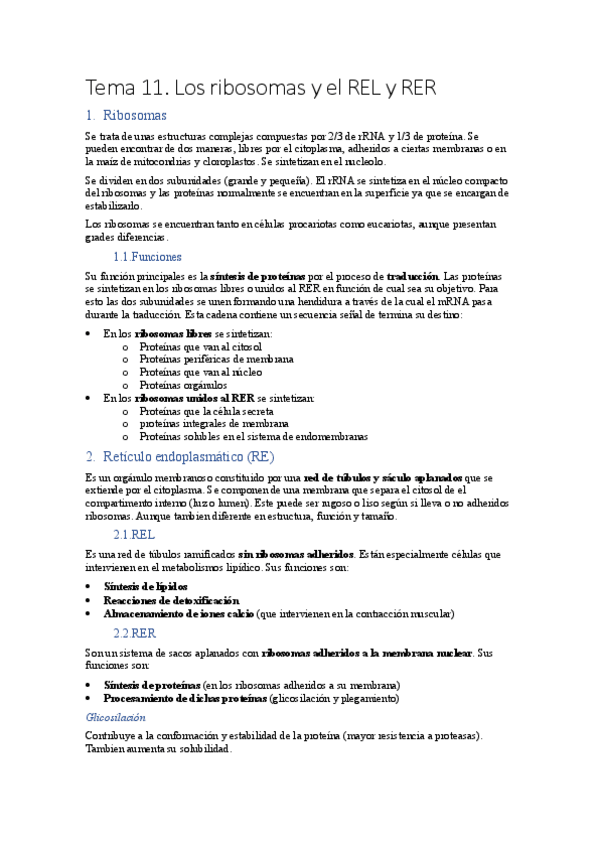 Miniatura del documento Tema-11.-Los-ribosomas-y-el-REL-y-RER.pdf