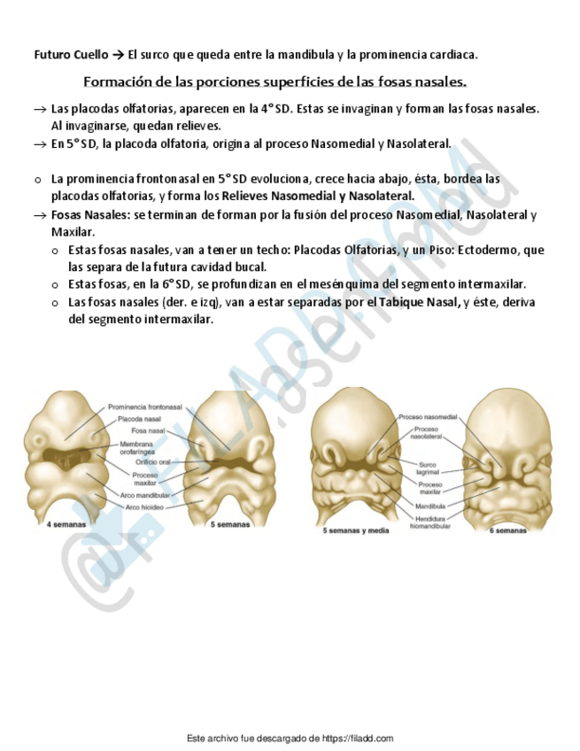 Miniatura del documento ilovepdfmerged-4.pdf