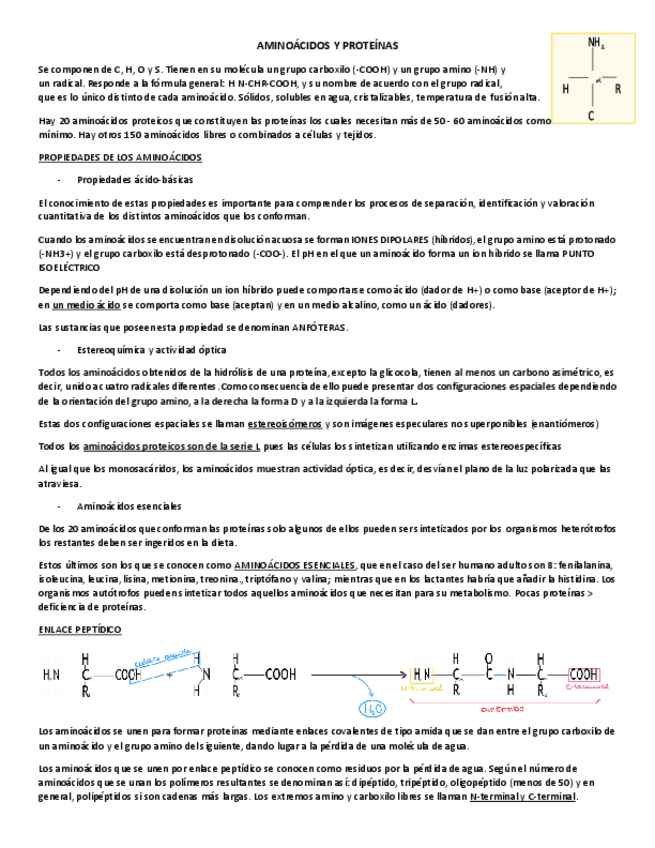 Miniatura del documento AMINOACIDOS-Y-PROTEINAS.pdf