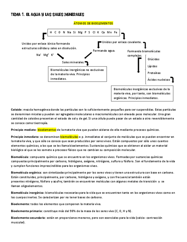 Miniatura del documento AGUA-Y-SALES MINERALES.pdf