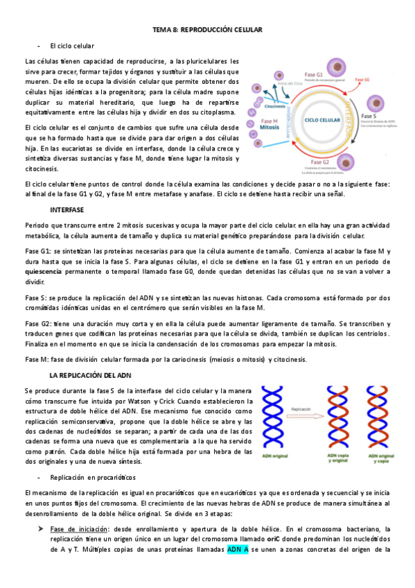 Miniatura del documento CICLOS-CELULARES.pdf