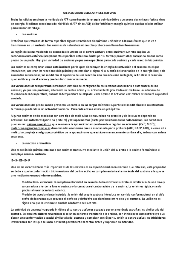 Miniatura del documento METABOLISMO.pdf