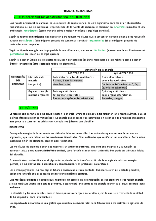 Miniatura del documento ANABOLISMO.pdf