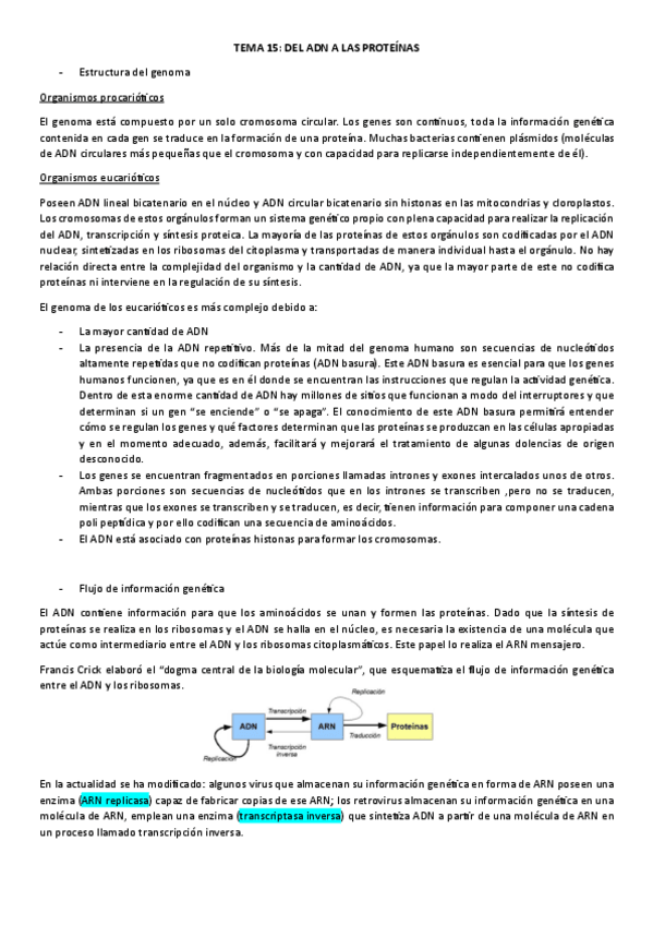 Miniatura del documento DEL-ADN-A-LAS-PROTEINAS.pdf