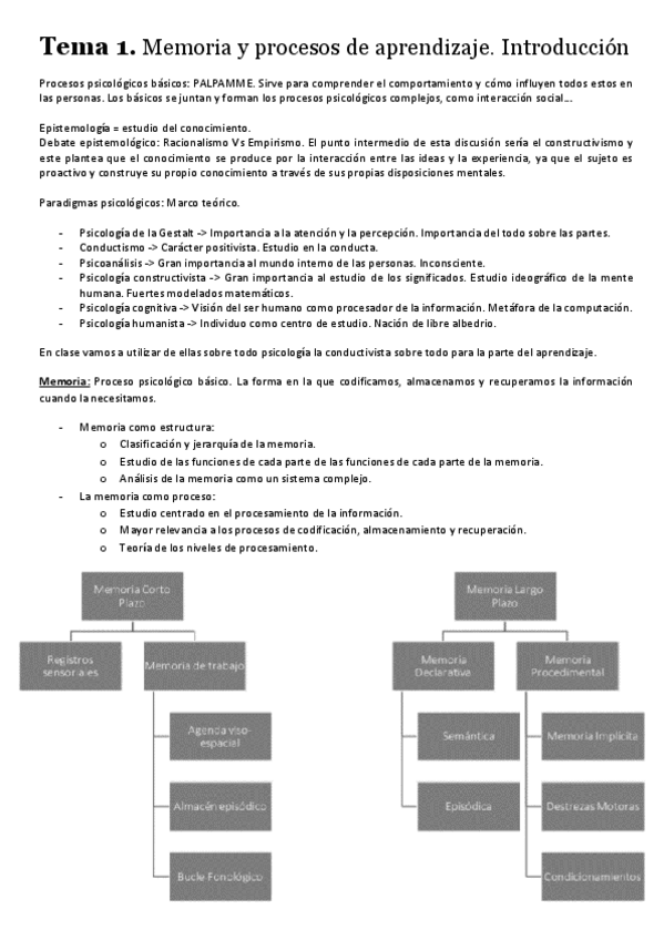 Miniatura del documento Memoria-y-procesos-de-aprendizaje.pdf