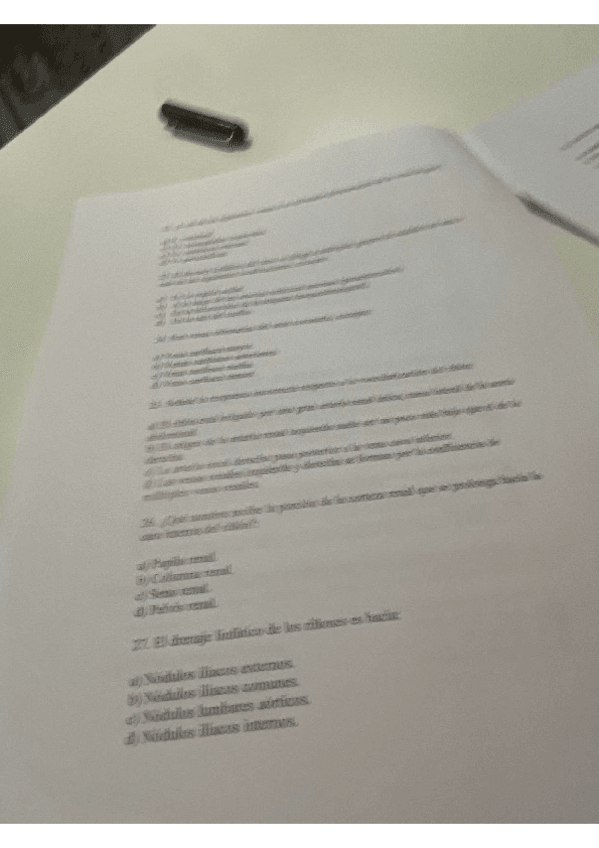 Miniatura del documento ordinario-dosmilveintidos.pdf