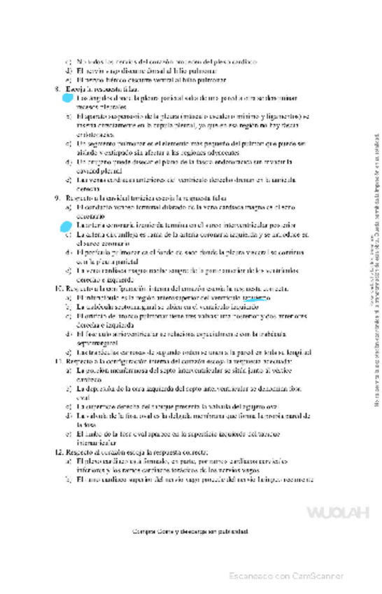 Miniatura del documento Preguntas-anos-anteriores-Anato-II.pdf
