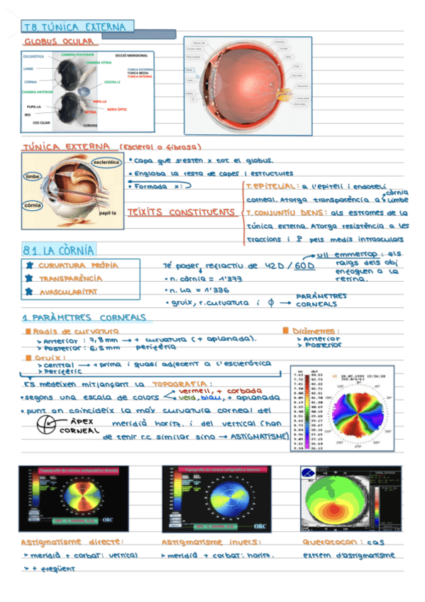 Miniatura del documento Tema-8.1-La-Cornia.pdf