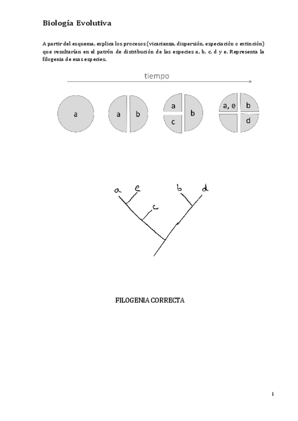 Miniatura del documento Dudas-filogenias-corregidas.pdf