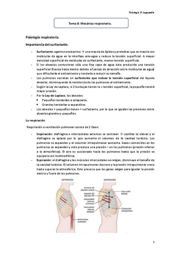 Miniatura del documento Tema-8-Mecanica-Respiratoria.pdf