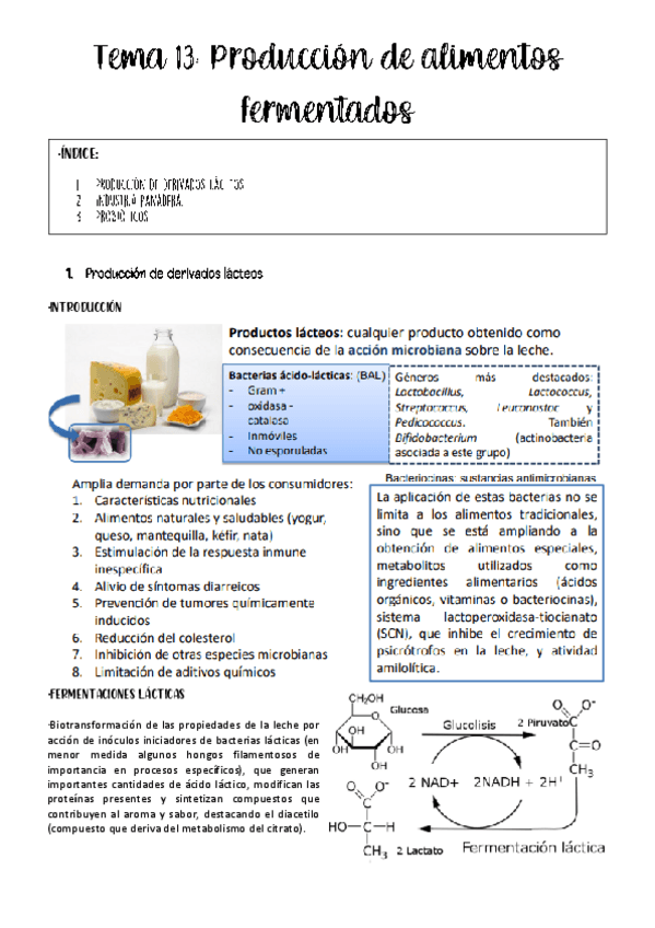 Miniatura del documento tema-13-biotec-microb.pdf