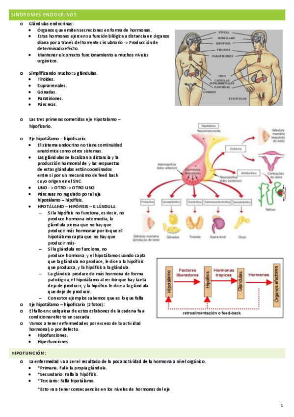 Miniatura del documento TEMA-1-MEDICO-ENDOCRINO.pdf