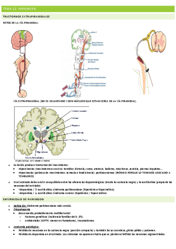 Miniatura del documento TEMA-12-PARKINSON.pdf