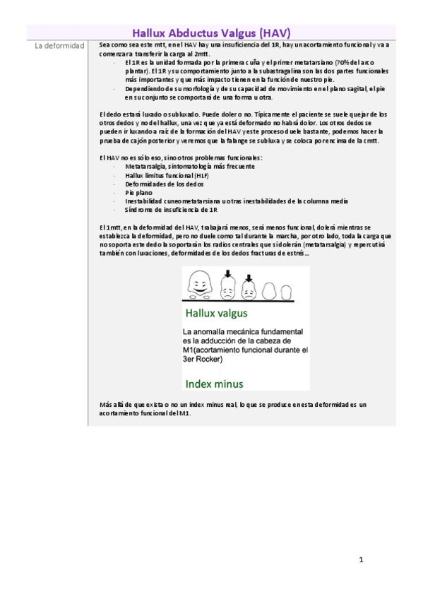 Miniatura del documento apuntes-final-trauma.pdf