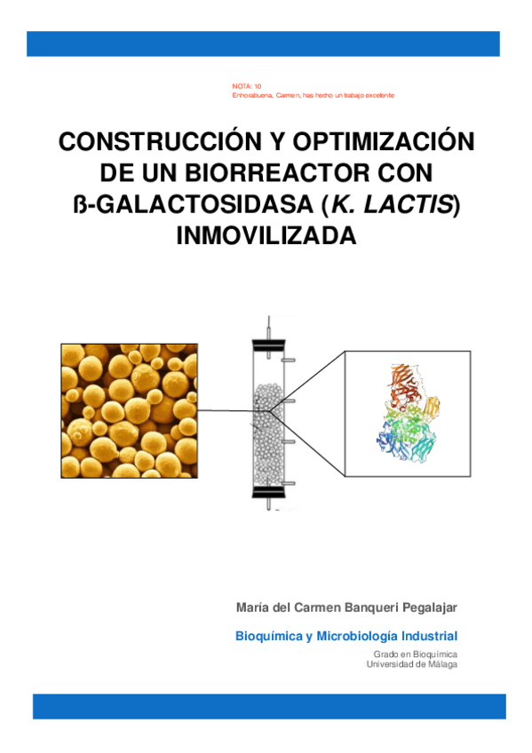 Miniatura del documento Informe-de-practicas-de-industrial-CORRECCION.pdf