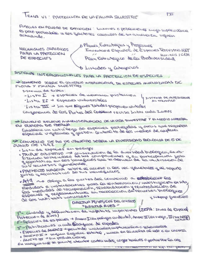 Miniatura del documento PROTECCION-DE-LA-FAUNA.pdf