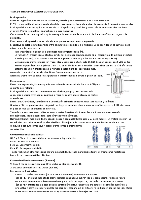 Miniatura del documento Biologia-molecular-y-citogenetica-Tema-10.pdf