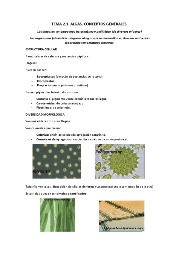 Miniatura del documento tema 2.1 Algas. Conceptos generales (sandra).pdf