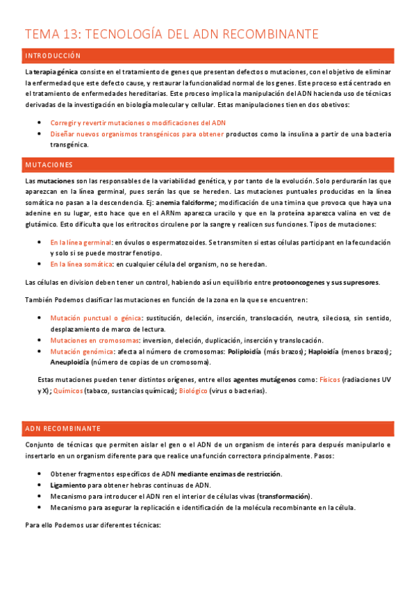 Miniatura del documento TEMA-13-Eva-Gomez-Resumido.pdf