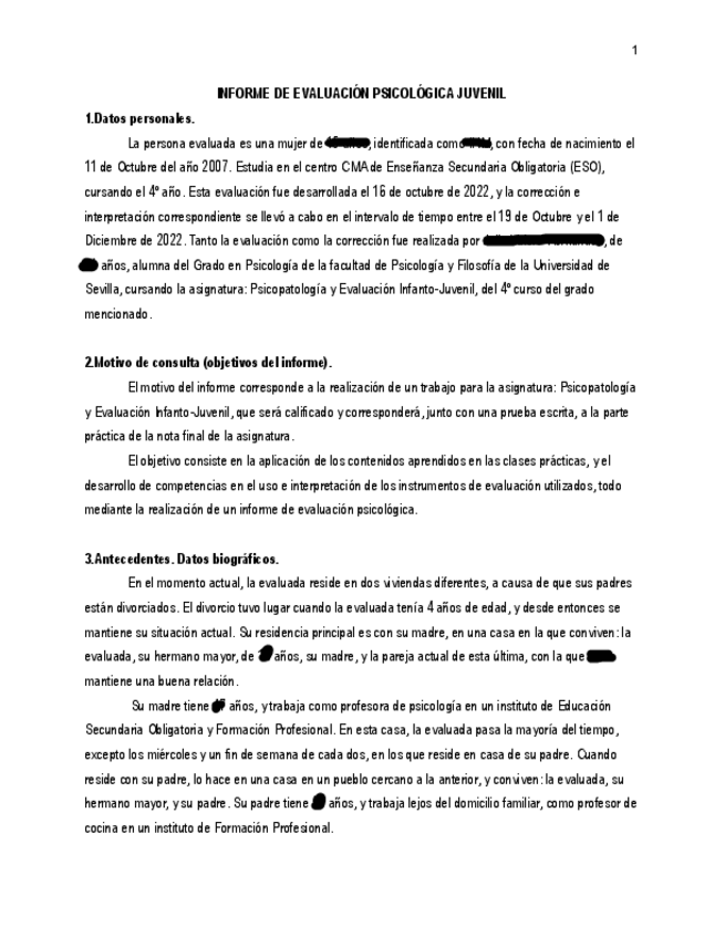 Miniatura del documento Informe.pdf