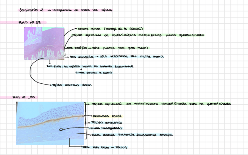 Miniatura del documento Seminario-2.pdf